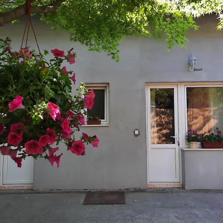 Soul Guest house *